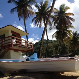 Beach in Tobago